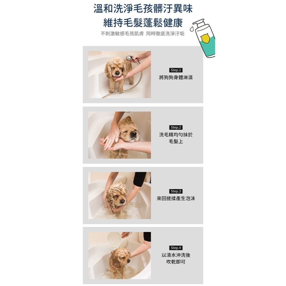 【幸運貓】 黃金盾 寵物毛髮除臭洗毛精 寵物洗毛精 500ml 狗狗洗毛精 貓咪洗毛精-細節圖8