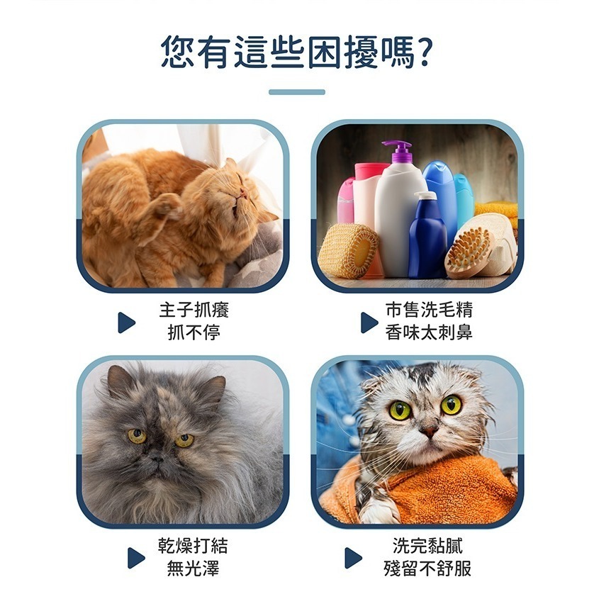【幸運貓】 黃金盾 寵物舒敏保濕洗毛精 寵物洗毛精 貓洗毛精 250ml-細節圖3