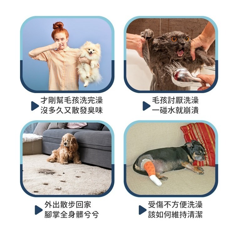 【幸運貓】 黃金盾寵物 潔淨噴霧 乾洗噴霧 250ml-細節圖3