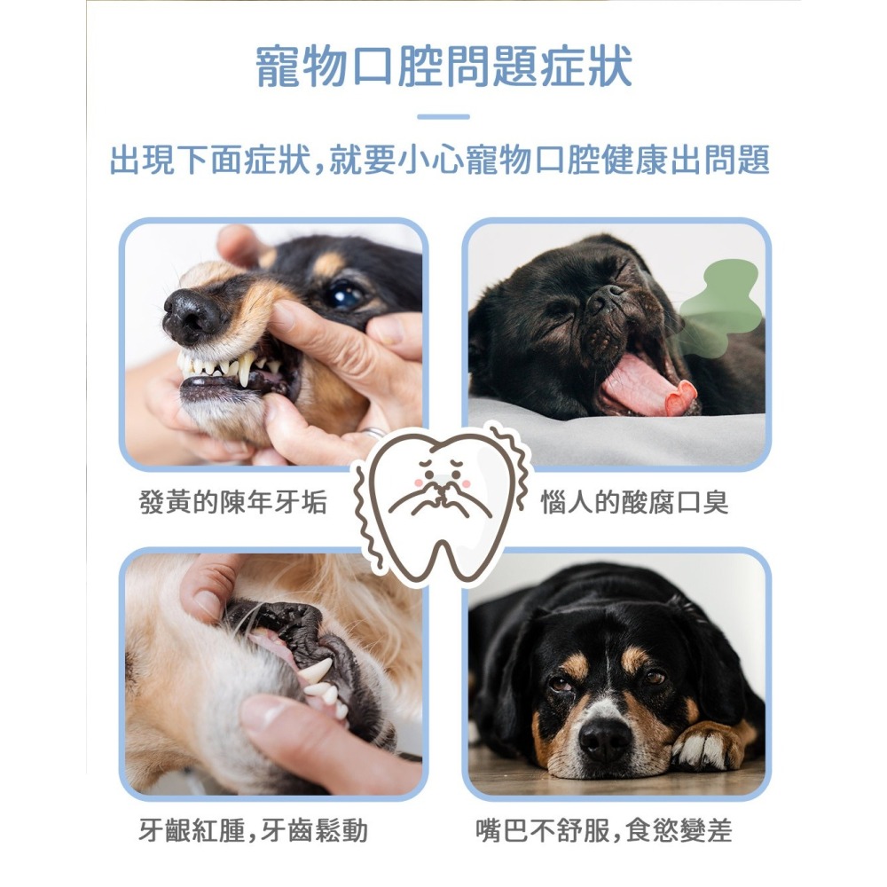 【幸運貓】黃金盾 寵物天天潔牙水 250ml 寵物潔牙水-細節圖3