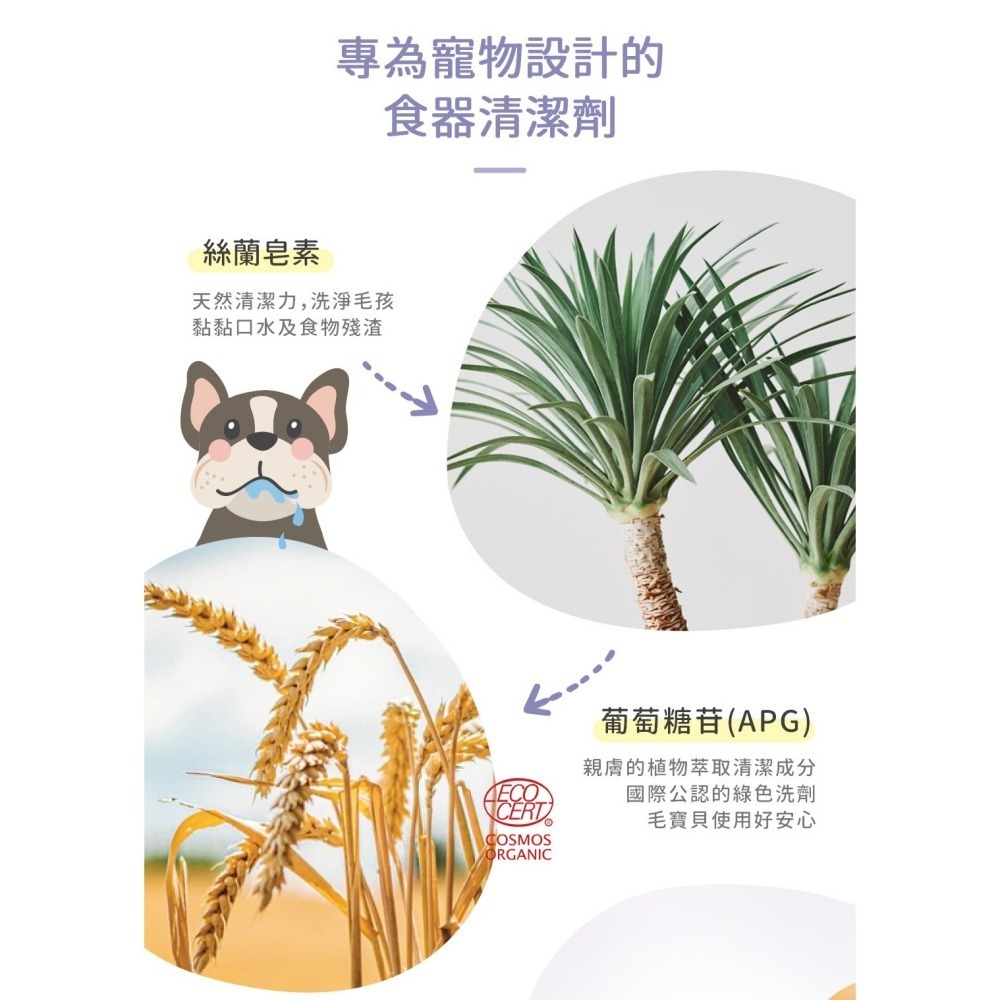 【幸運貓】 黃金盾 寵物食器專用洗滌慕斯 洗碗 500ml-細節圖4