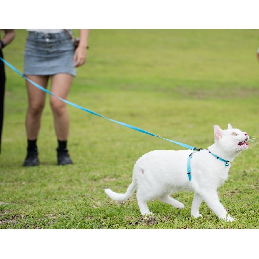 【幸運貓】BORNIER 帛尼爾 快扣長拉繩-3米 5米 10米 M號 共九色-細節圖4