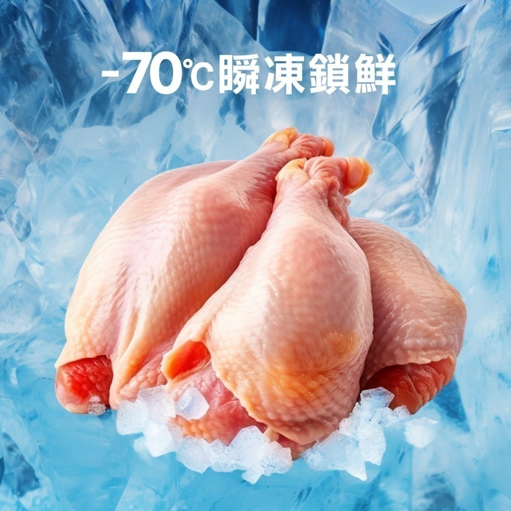 【幸運貓】 喵探長 派大雞 / 邁香魚 無穀凍乾全齡貓糧 貓飼料 凍乾-細節圖2