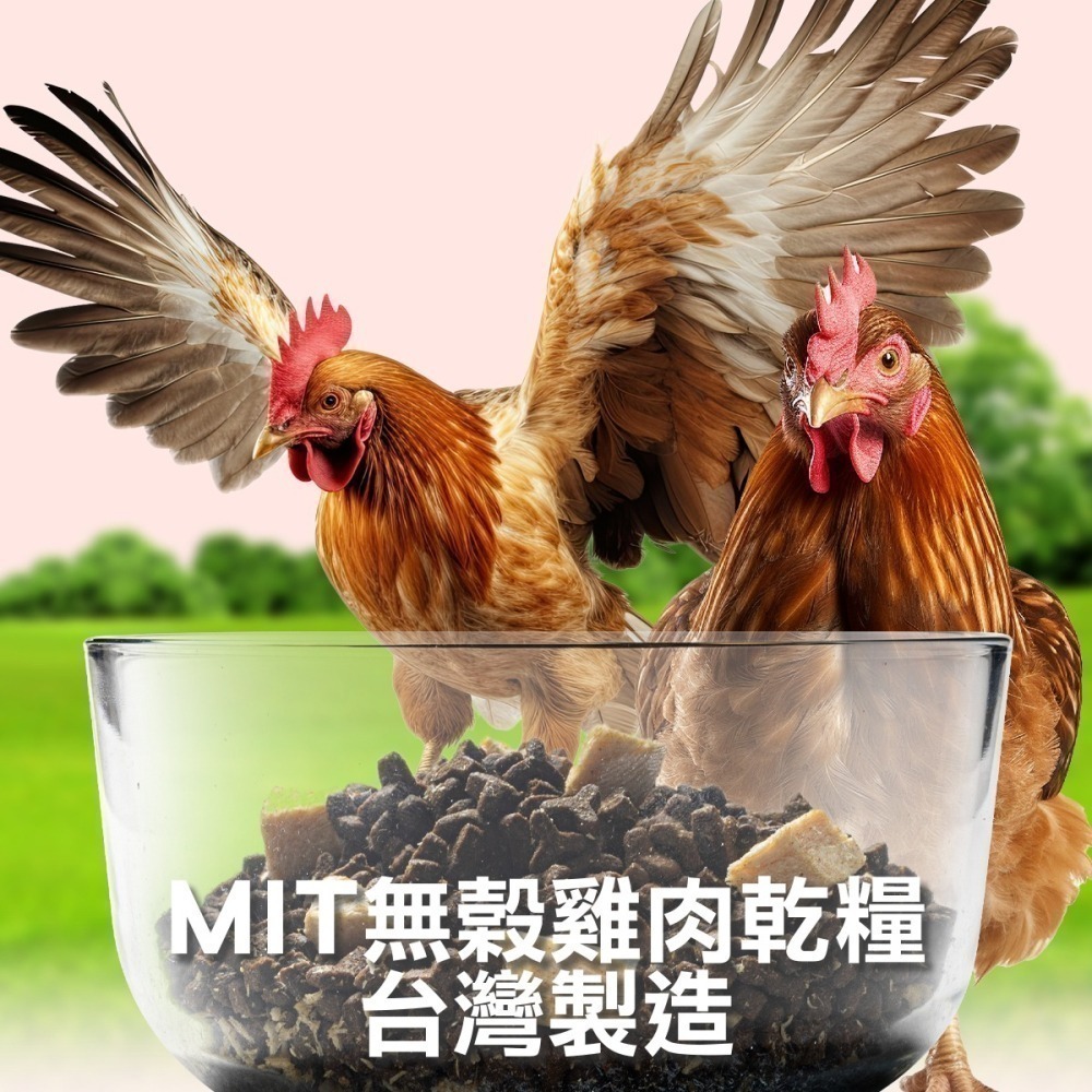 【幸運貓】 喵探長 派大雞 / 邁香魚 無穀凍乾全齡貓糧 貓飼料 凍乾-細節圖5