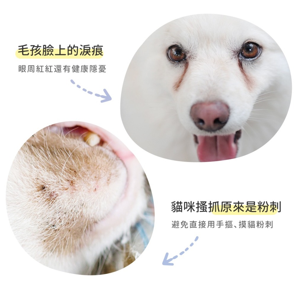 【幸運貓】黃金盾 寵物潔顏乾洗慕斯 (50ml)-細節圖3