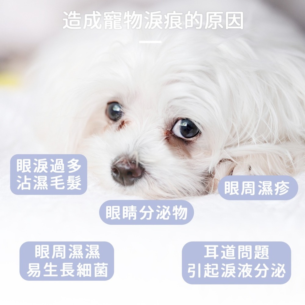 【幸運貓】黃金盾 寵物潔顏乾洗慕斯 (50ml)-細節圖5