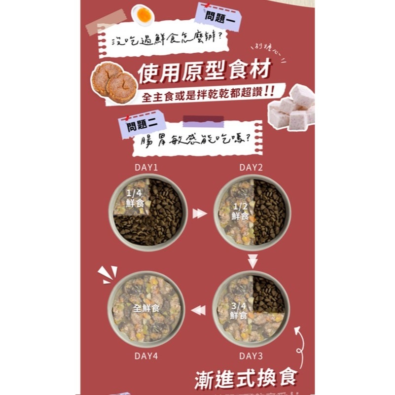 【幸運貓】 Abao 阿寶 台式熱炒 鮮食餐包 羊肉 嫩雞 牛肉 鴨肉 粥 番茄 (環保包) 狗餐包 貓餐包-細節圖5