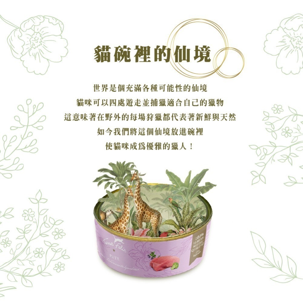 3入特價【幸運貓】德國 Terra Canis 醍菈鮮廚｜仙境貓罐 80g｜無穀罐 主食貓罐 德罐 火雞肉 雞肉 鮭魚-細節圖3