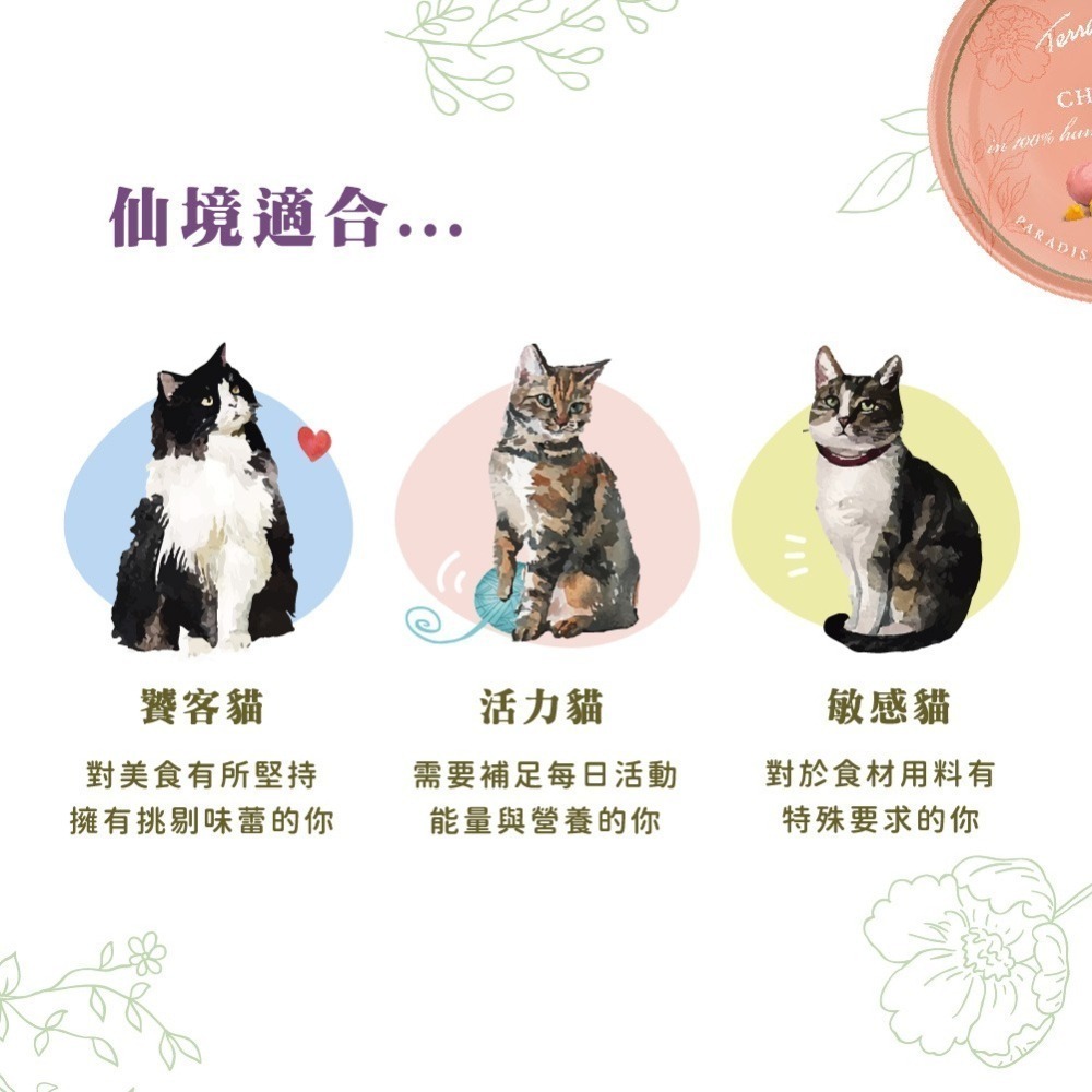 3入特價【幸運貓】德國 Terra Canis 醍菈鮮廚｜仙境貓罐 80g｜無穀罐 主食貓罐 德罐 火雞肉 雞肉 鮭魚-細節圖5