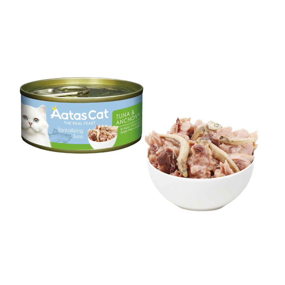 【幸運貓】 Aatas 愛達思 貓罐 80g 副食罐 白肉鮪魚 嫩雞 牛肉 鮭魚 鯷魚 吻仔魚 蟹肉 鮮蝦 南瓜-規格圖6