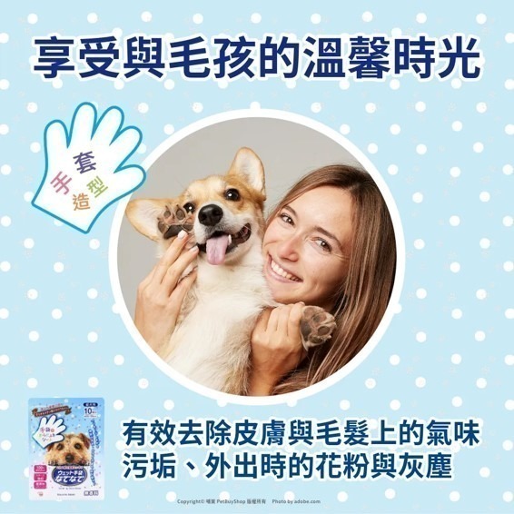 【幸運貓】本田洋行 HONDA YOKO 清潔安撫雙效手套濕巾 10入 貓用 犬用 無香 濕紙巾 濕巾 日本原裝進口-細節圖3