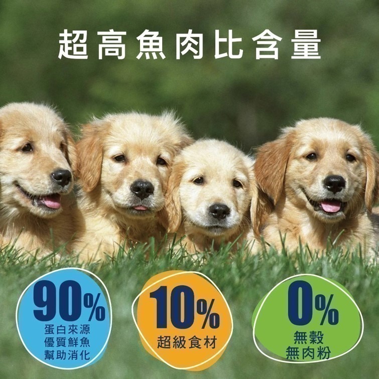 【幸運貓】 哈利瑪莉 3kg 六星級寵糧 狗飼料 雙魚鮮享 無穀熟齡 幼犬 成犬 中大型犬 小型犬 犬乾糧-細節圖4