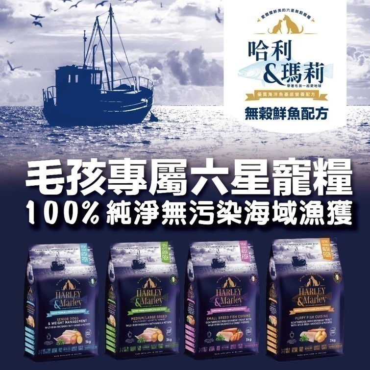 【幸運貓】 哈利瑪莉 3kg 六星級寵糧 狗飼料 雙魚鮮享 無穀熟齡 幼犬 成犬 中大型犬 小型犬 犬乾糧-細節圖2