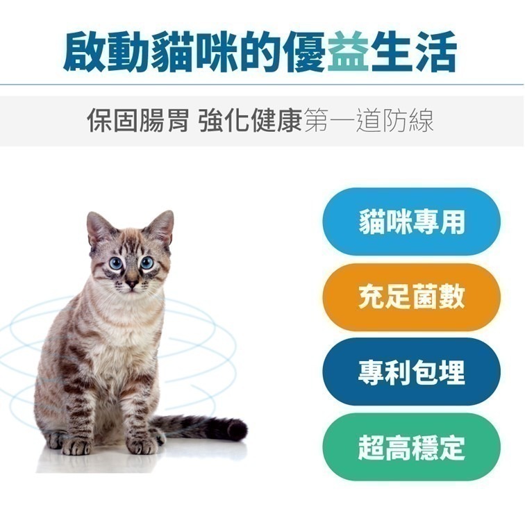 【幸運貓】 木入森 貓咪活菌寶 (30包)｜貓咪益生菌｜黃金組合菌 綜合酵素｜貓咪腸胃保健食品 寵物益生菌-細節圖5