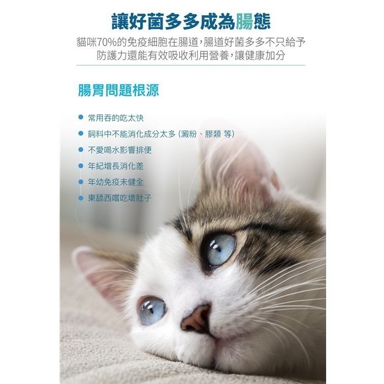 【幸運貓】 木入森 貓咪活菌寶 (15包)｜貓咪益生菌｜黃金組合菌 綜合酵素｜貓咪腸胃保健食品 寵物益生菌-細節圖4