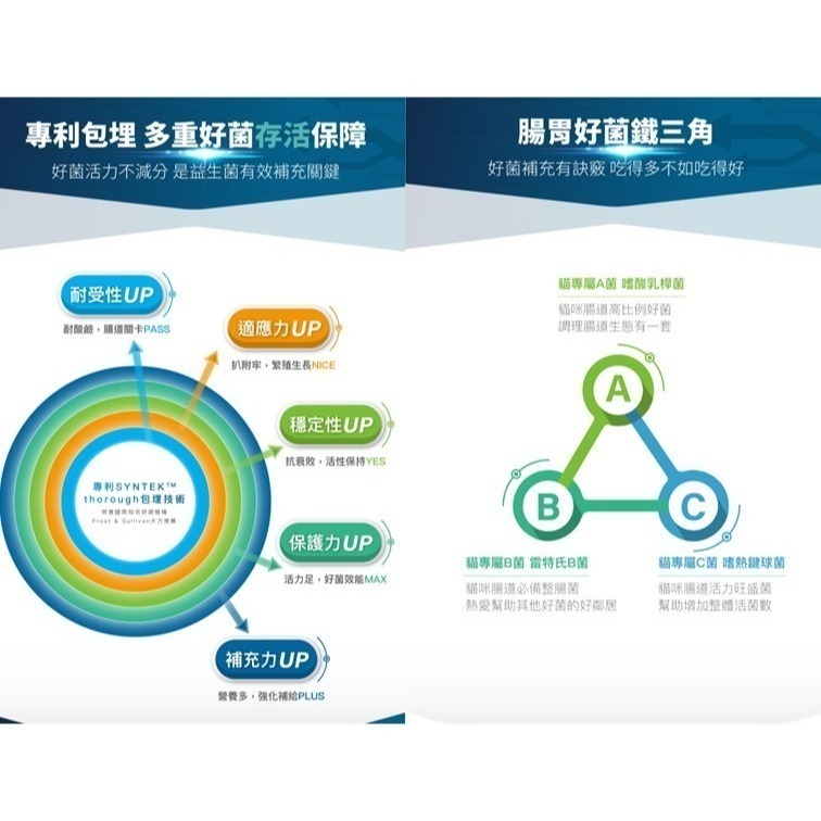 【幸運貓】 木入森 貓咪活菌寶 (15包)｜貓咪益生菌｜黃金組合菌 綜合酵素｜貓咪腸胃保健食品 寵物益生菌-細節圖9