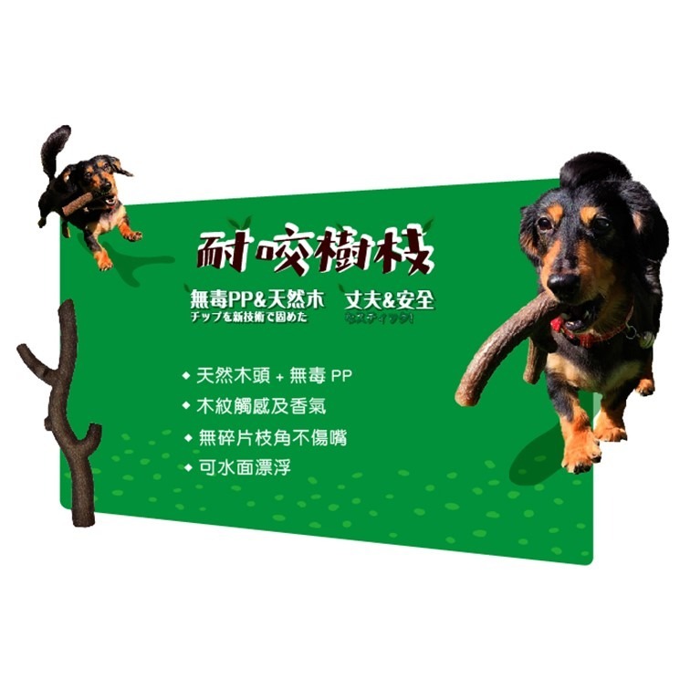 【幸運貓】 Famini 耐咬樹枝 S M L 寵物玩具 耐咬玩具-細節圖2