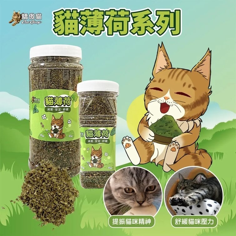 【幸運貓】 驕傲貓 極細貓薄荷葉 /蟲癭果實 /木天蓼枝 (貓薄荷 貓草 貓零食 貓紓壓)-細節圖6