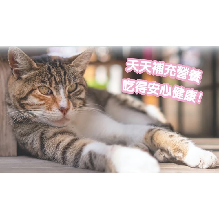 【幸運貓】 驕傲貓 療癒系凍乾袋裝-多種口味 (貓零食 貓點心 原肉零食 肉乾 凍乾)-細節圖6