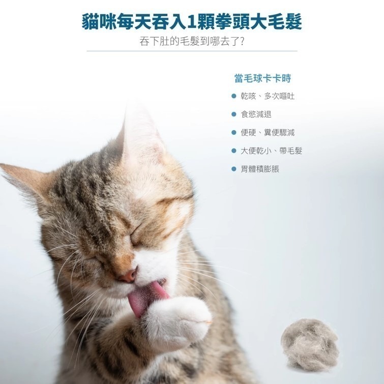 【幸運貓】 木入森 貓咪排毛粉 (30包)｜比化毛膏更好的選擇｜專利纖維與酵素｜換毛季必備貓咪保健食品-細節圖3