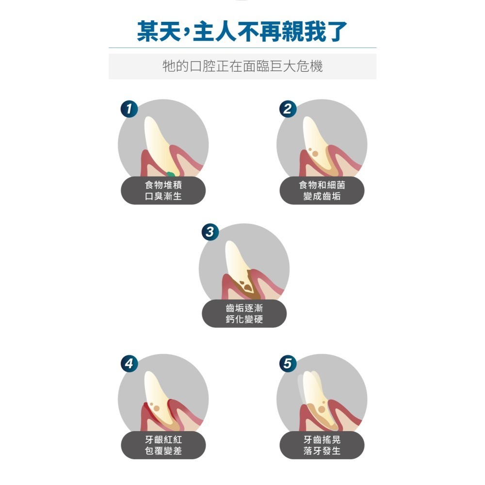 【幸運貓】木入森 貓咪固齒麗口滴劑 (30ml)｜貓咪潔牙滴劑｜可滴入食物｜控制牙垢 消除貓咪口腔異味-細節圖5