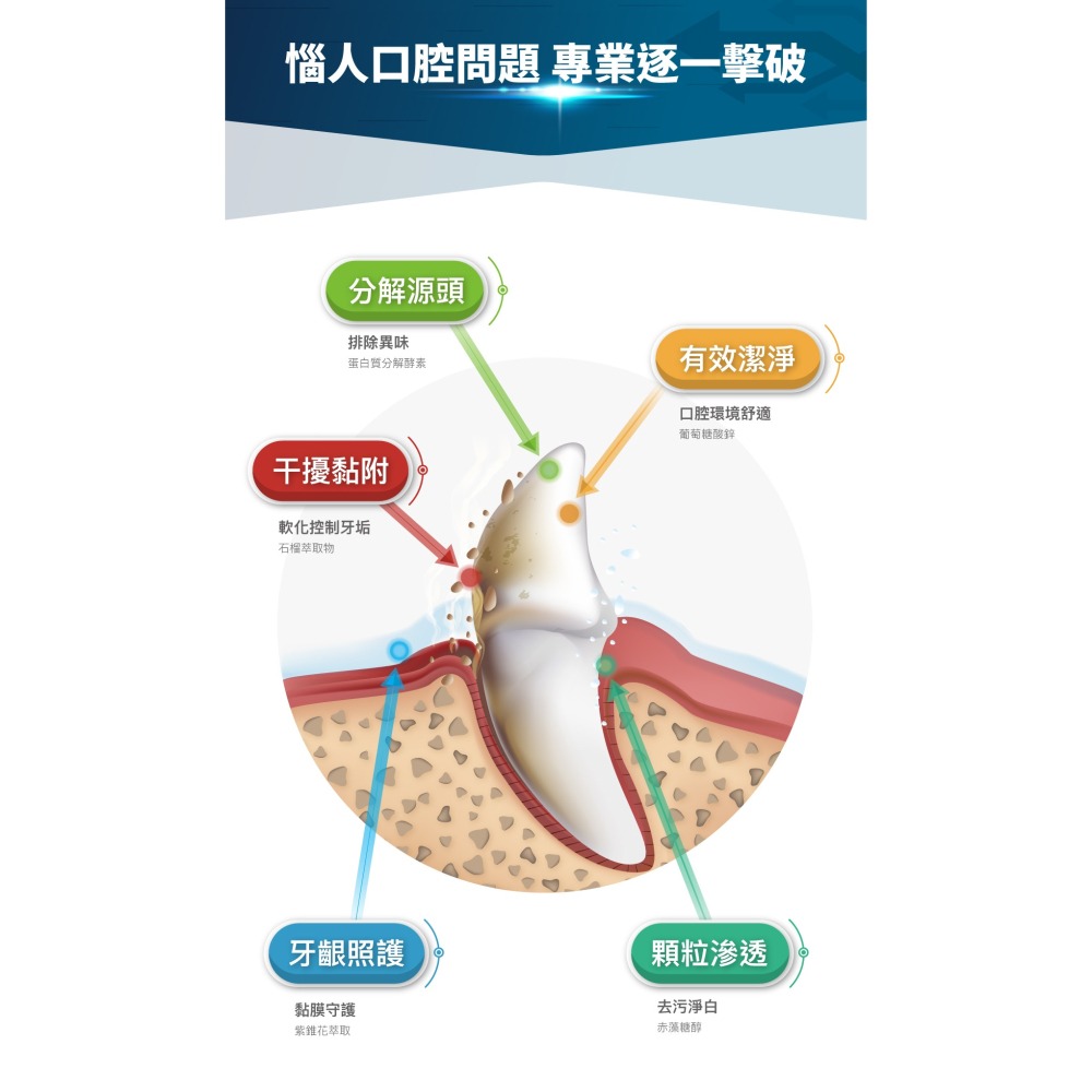 【幸運貓】 木入森 犬寶固齒麗口滴劑 (30ml)｜狗狗潔牙滴劑｜可滴入食物｜控制牙垢 消除狗狗口腔異味-細節圖7