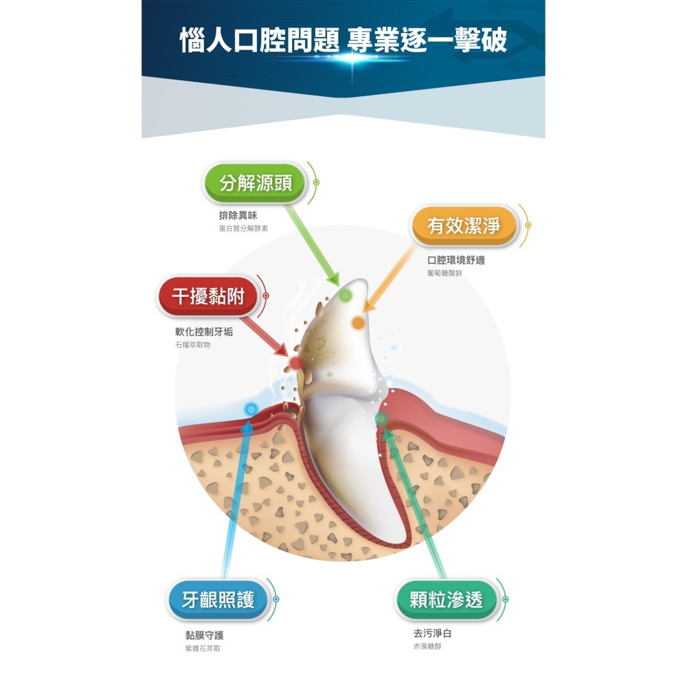 【幸運貓】 木入森 犬寶固齒麗口滴劑 (30ml)｜狗狗潔牙滴劑｜可滴入食物｜控制牙垢 消除狗狗口腔異味-細節圖7