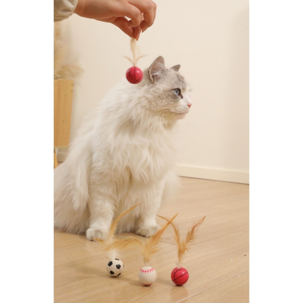 【幸運貓】 彈力逗貓雞毛球 籃球/足球/棒球 貓咪玩具 寵物玩具 球球玩具-細節圖8