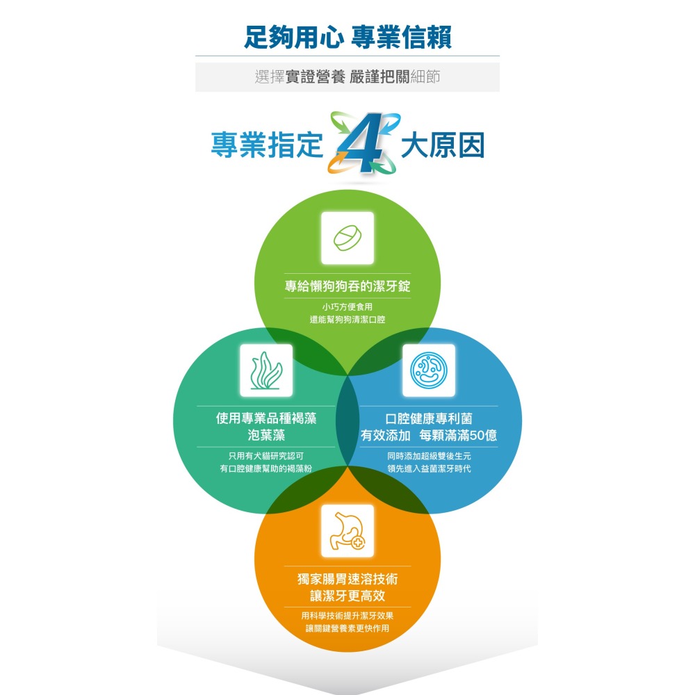 【幸運貓】木入森 犬寶固齒麗潔牙錠 ｜狗狗潔牙錠｜比潔牙骨更好的選擇｜消除狗狗口腔異味-細節圖4