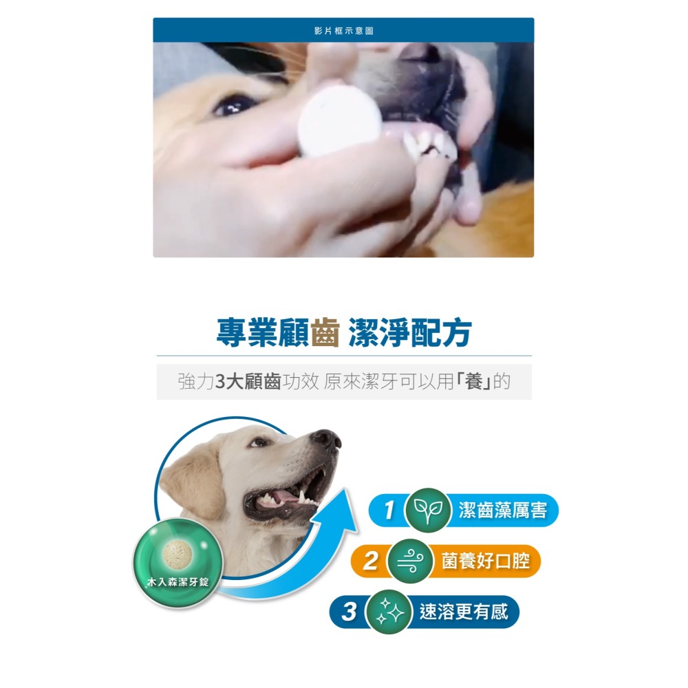 【幸運貓】木入森 犬寶固齒麗潔牙錠 ｜狗狗潔牙錠｜比潔牙骨更好的選擇｜消除狗狗口腔異味-細節圖6