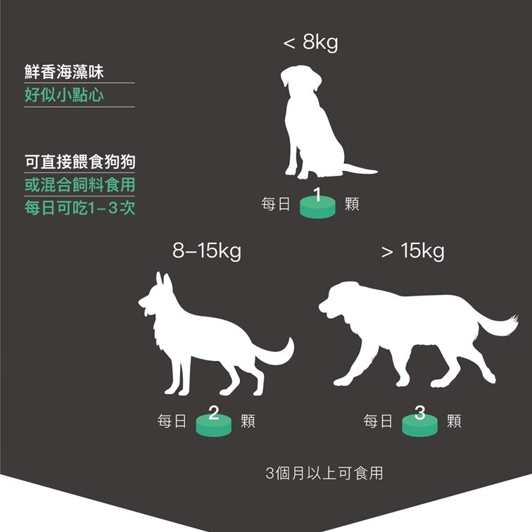 【幸運貓】木入森 犬寶固齒麗潔牙錠 ｜狗狗潔牙錠｜比潔牙骨更好的選擇｜消除狗狗口腔異味-細節圖11