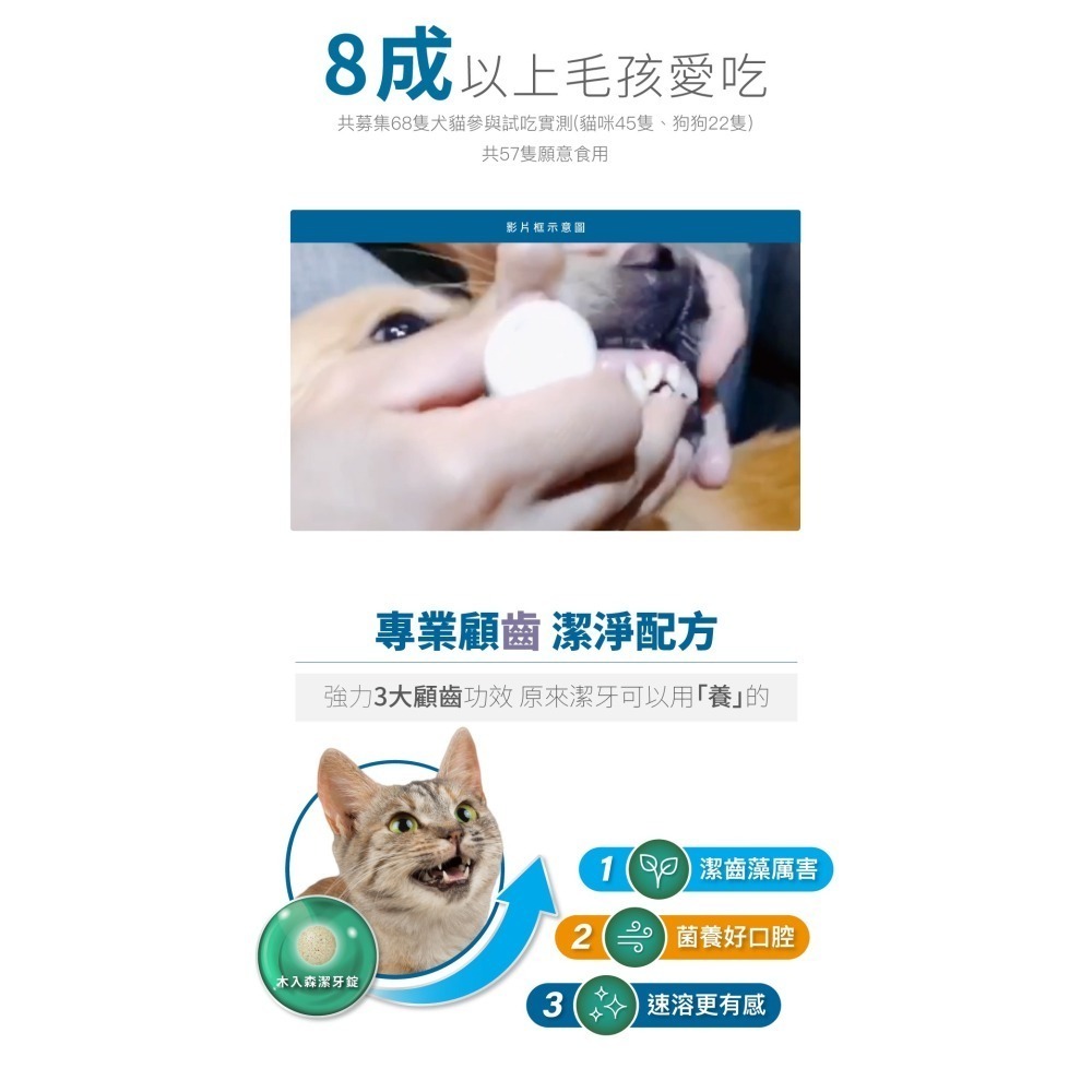 【幸運貓】木入森 貓咪固齒麗潔牙錠 ｜貓咪潔牙錠｜改善口腔環境｜控制牙垢 消除貓咪口腔異味-細節圖6