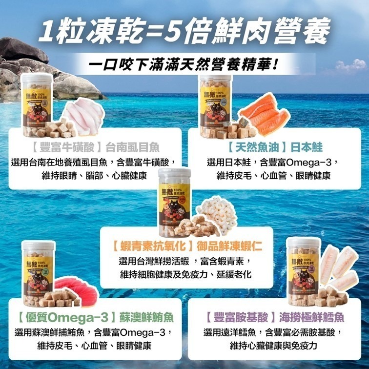 【幸運貓】 ParkCat 貓樂園 無敵100%原肉凍乾 天然原肉 凍乾 犬貓適用 雞肉凍乾 貓咪凍乾 寵物凍乾-細節圖5