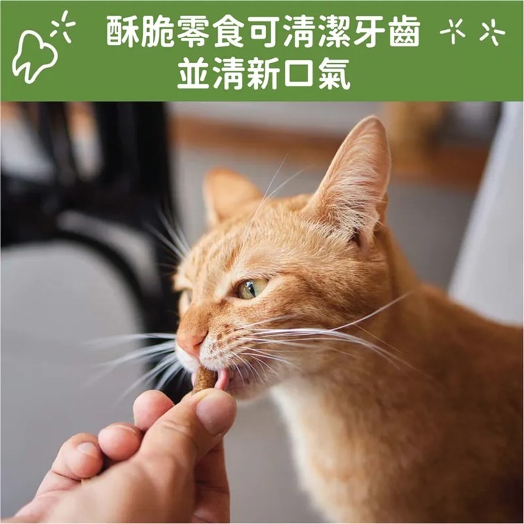 【幸運貓】WHIMZEES 唯潔  貓咪潔牙餅 雞肉&鮪魚 雞肉&鮭魚 貓咪零嘴-細節圖2