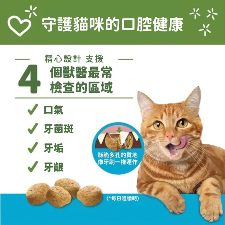 【幸運貓】WHIMZEES 唯潔  貓咪潔牙餅 雞肉&鮪魚 雞肉&鮭魚 貓咪零嘴-細節圖4