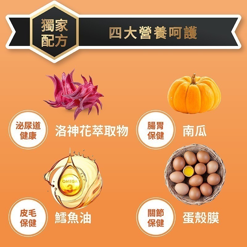 【幸運貓】 喵探長 無穀貓乾糧 南瓜烤雞 紅藜雙響 貓飼料-細節圖3