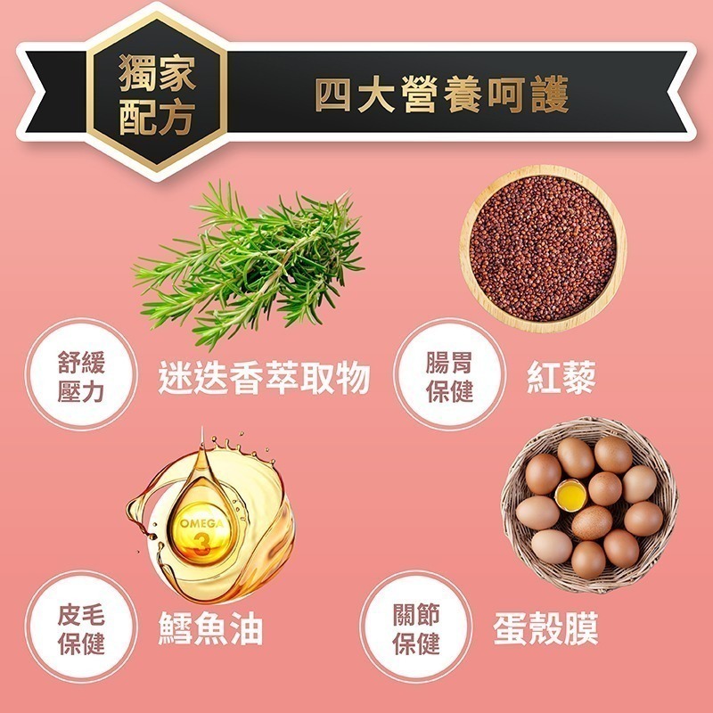 【幸運貓】 喵探長 無穀貓乾糧 南瓜烤雞 紅藜雙響 貓飼料-細節圖6