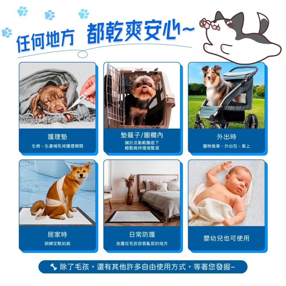 【幸運貓】 哈吉咪 kimochii_寵物尿布墊 狗尿墊 生理墊 寵物尿墊 狗尿布墊 護理墊-細節圖5