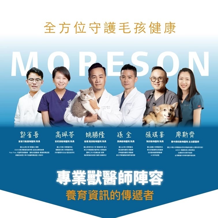 滿額贈飼料【幸運貓】 木入森 貓咪護疫升 (60顆)｜貓咪免疫力保健食品｜離胺酸 牛磺酸 蝦紅素｜適合老貓 挑食貓-細節圖2