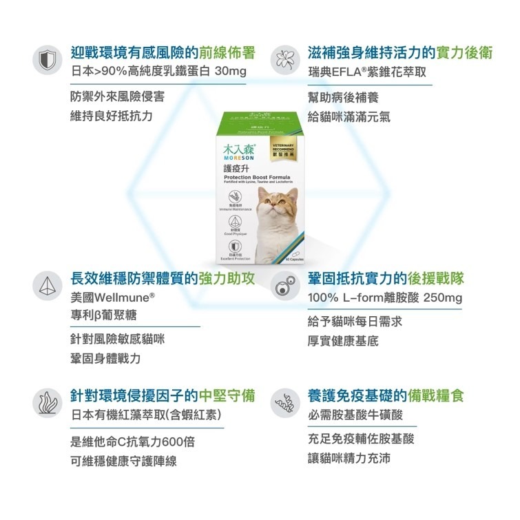 滿額贈飼料【幸運貓】 木入森 貓咪護疫升 (60顆)｜貓咪免疫力保健食品｜離胺酸 牛磺酸 蝦紅素｜適合老貓 挑食貓-細節圖7