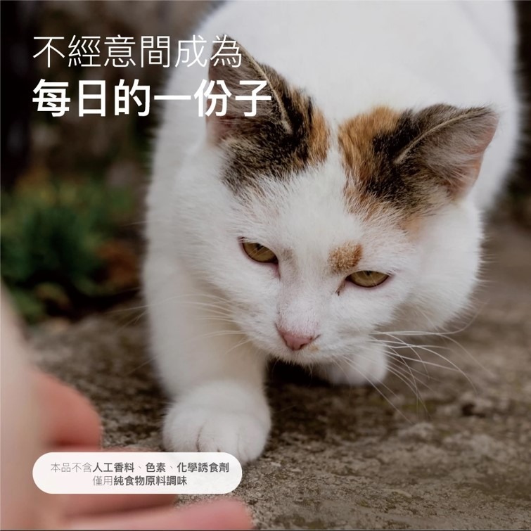 滿額贈飼料【幸運貓】 木入森 貓咪護疫升 (60顆)｜貓咪免疫力保健食品｜離胺酸 牛磺酸 蝦紅素｜適合老貓 挑食貓-細節圖10
