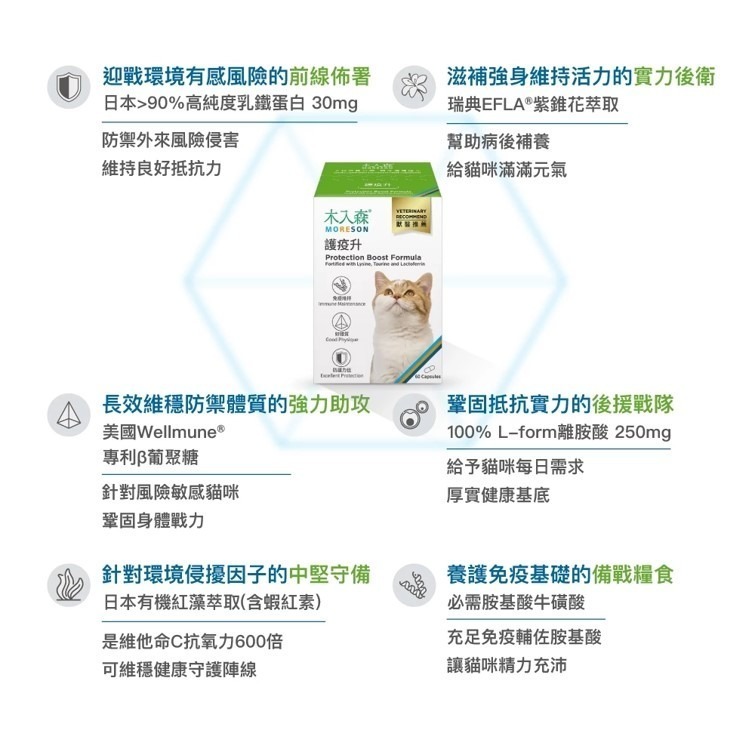 【幸運貓】 木入森 貓咪護疫升 (60顆)｜貓咪免疫力保健食品｜離胺酸 牛磺酸 蝦紅素｜適合老貓 挑食貓-細節圖7