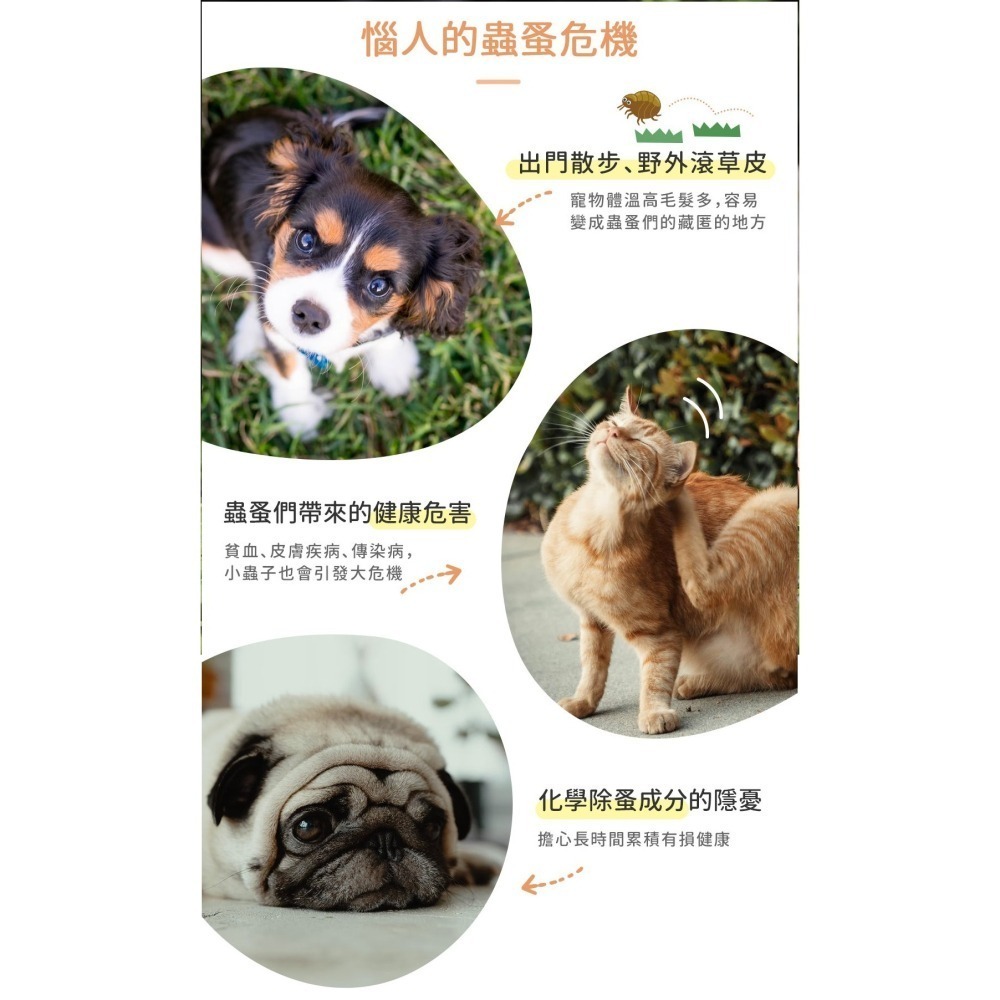 【7-ELEVEN 門市團購】 黃金盾 蚤蚤防護噴霧(250ml) + 寵物潔耳液(100ml) 組合-細節圖4