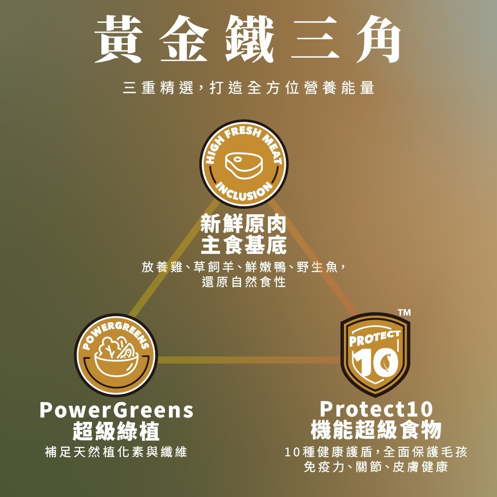 贈貓主食罐x2【幸運貓】 CHARM 野性魅力 超能精華無穀貓飼料 340g 無穀貓糧 成貓 貓飼料-細節圖6