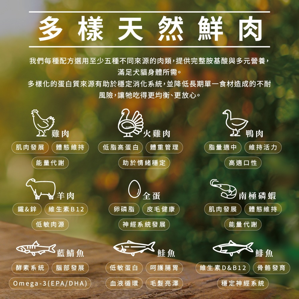 贈貓主食罐x2【幸運貓】 CHARM 野性魅力 超能精華無穀貓飼料 340g 無穀貓糧 成貓 貓飼料-細節圖7