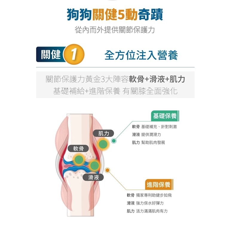 【幸運貓】木入森 犬寶有關膝 (60顆)｜狗狗關節保健食品｜胜肽膠原蛋白 玫瑰果萃取｜給予狗關節保護力-細節圖5