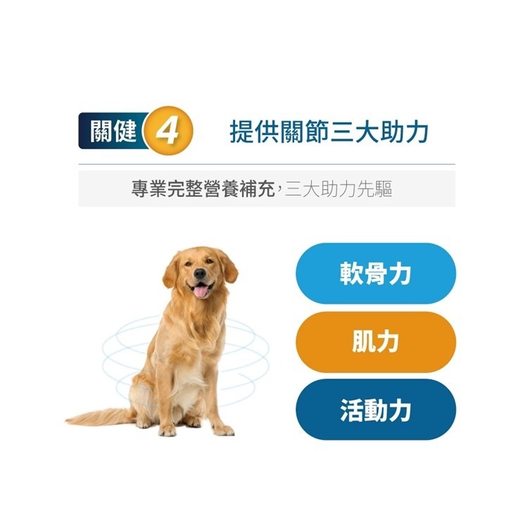 【幸運貓】木入森 犬寶有關膝 (60顆)｜狗狗關節保健食品｜胜肽膠原蛋白 玫瑰果萃取｜給予狗關節保護力-細節圖7