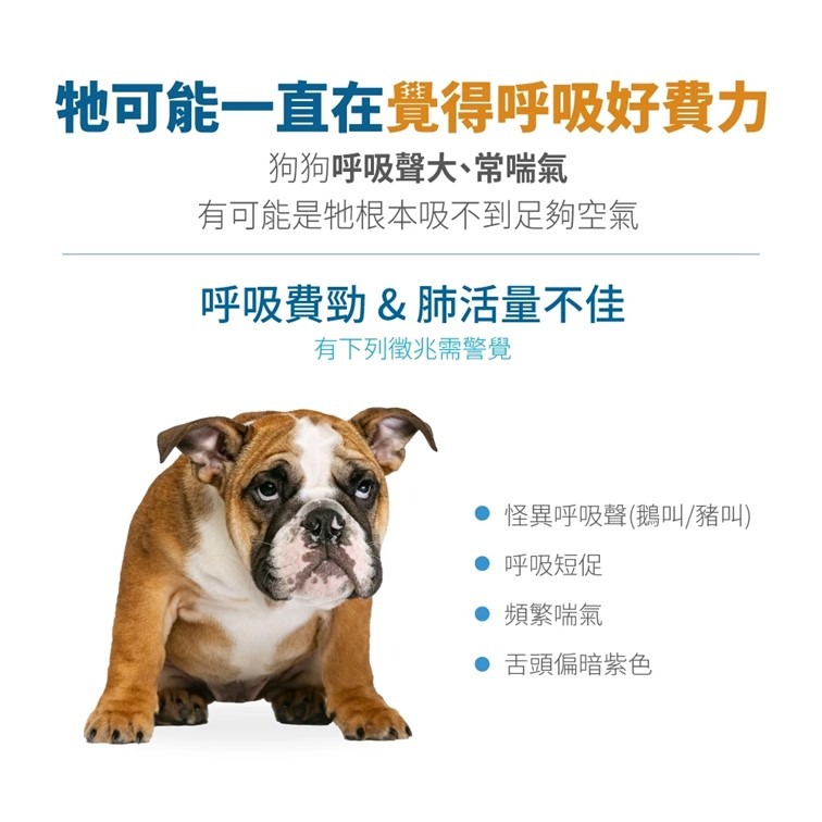 【幸運貓】 木入森 犬寶氣力升 60顆/盒｜狗狗氣管保健食品 寵物保健-細節圖3