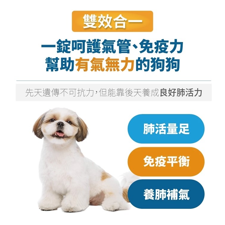 【幸運貓】 木入森 犬寶氣力升 60顆/盒｜狗狗氣管保健食品 寵物保健-細節圖6