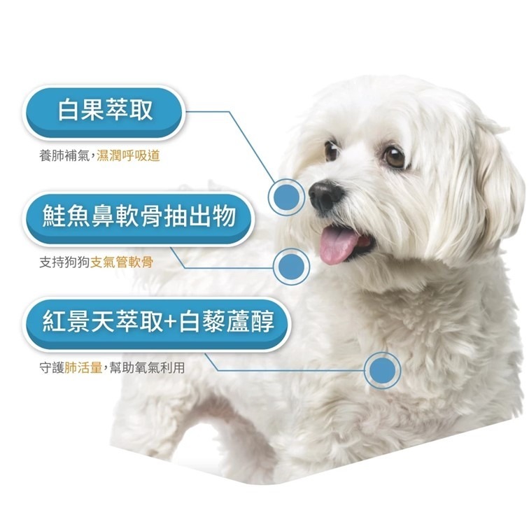 【幸運貓】 木入森 犬寶氣力升 60顆/盒｜狗狗氣管保健食品 寵物保健-細節圖7